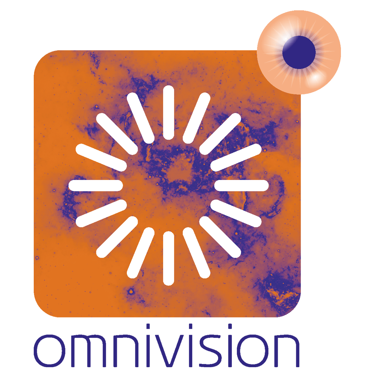 Logo-Omnivision